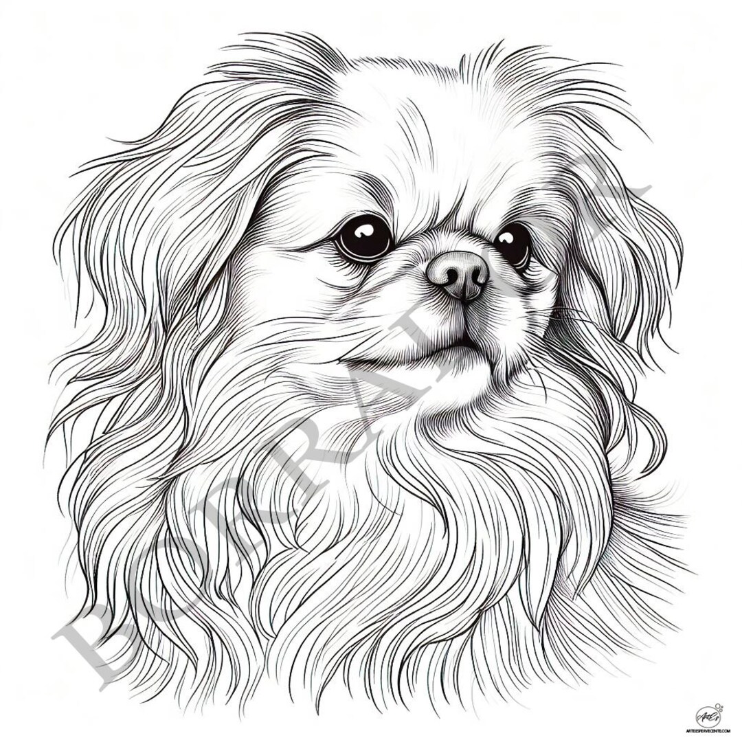Pekingese Dog Coloring Page for Adults - Etsy UK