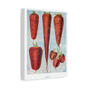 Vintage Vegetable Canvas Art: Farmhouse Kitchen Wall Decor