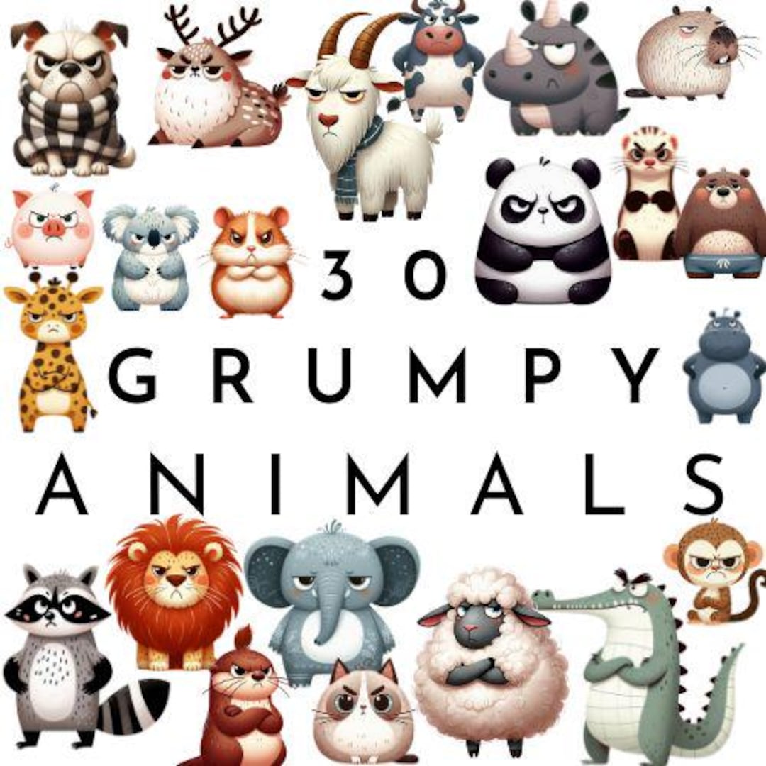 Grumpy Animals Clipart | Funny Animals PNG | Funny Animal Cute PNG ...