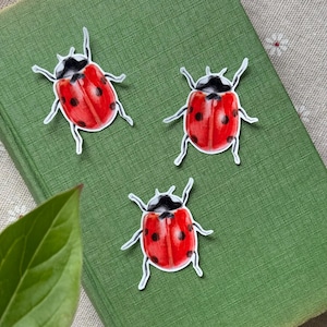 Adesivo in vinile Adesivo coccinella Scrapbooking Bullet Journal