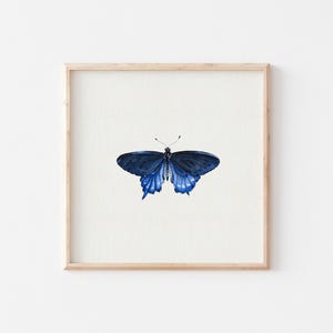 Miniature Art Print Butterfly / Mini Print / Fine Art Print from the Original Watercolor