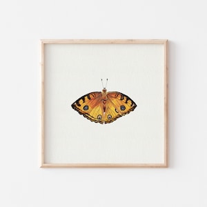 Miniature Art Print Butterfly / Mini Print / Fine Art Print from the Original Watercolor