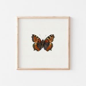 Miniatur Kunstdruck Schmetterling / Mini Print / Fine Art Print vom Original Aquarell / Kleiner Fuchs