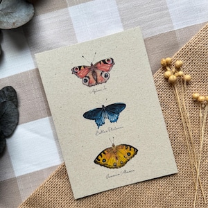 Pocztówka z papieru trawiastego, kartki okolicznościowe, ilustracja własnoręcznie malowana, akwarela, ręcznie malowana, motyle, owady