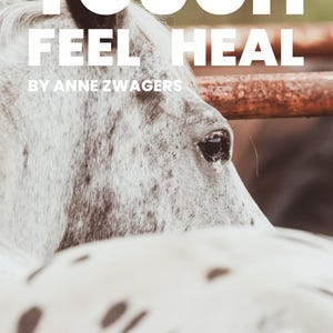 May include: Book cover with the title "TOUCH FEEL HEAL" in large white letters. The image features a close-up of a horse's head with a dappled coat. The author's name is "BY ANNE ZWAGERS". The subtitle reads "A SIMPLE GUIDE TO CONNECTION THROUGH FEELING, HEALING AND NATURAL LEADERSHIP."