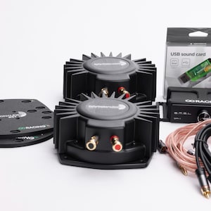 Op de afbeelding: Een set zwarte Dayton Audio subwoofers met goudkleurige luidsprekerterminals, een zwarte en zilveren USB-geluidskaart, een zwarte versterker met een volumeknop en zwarte en koperen luidsprekerkabels.