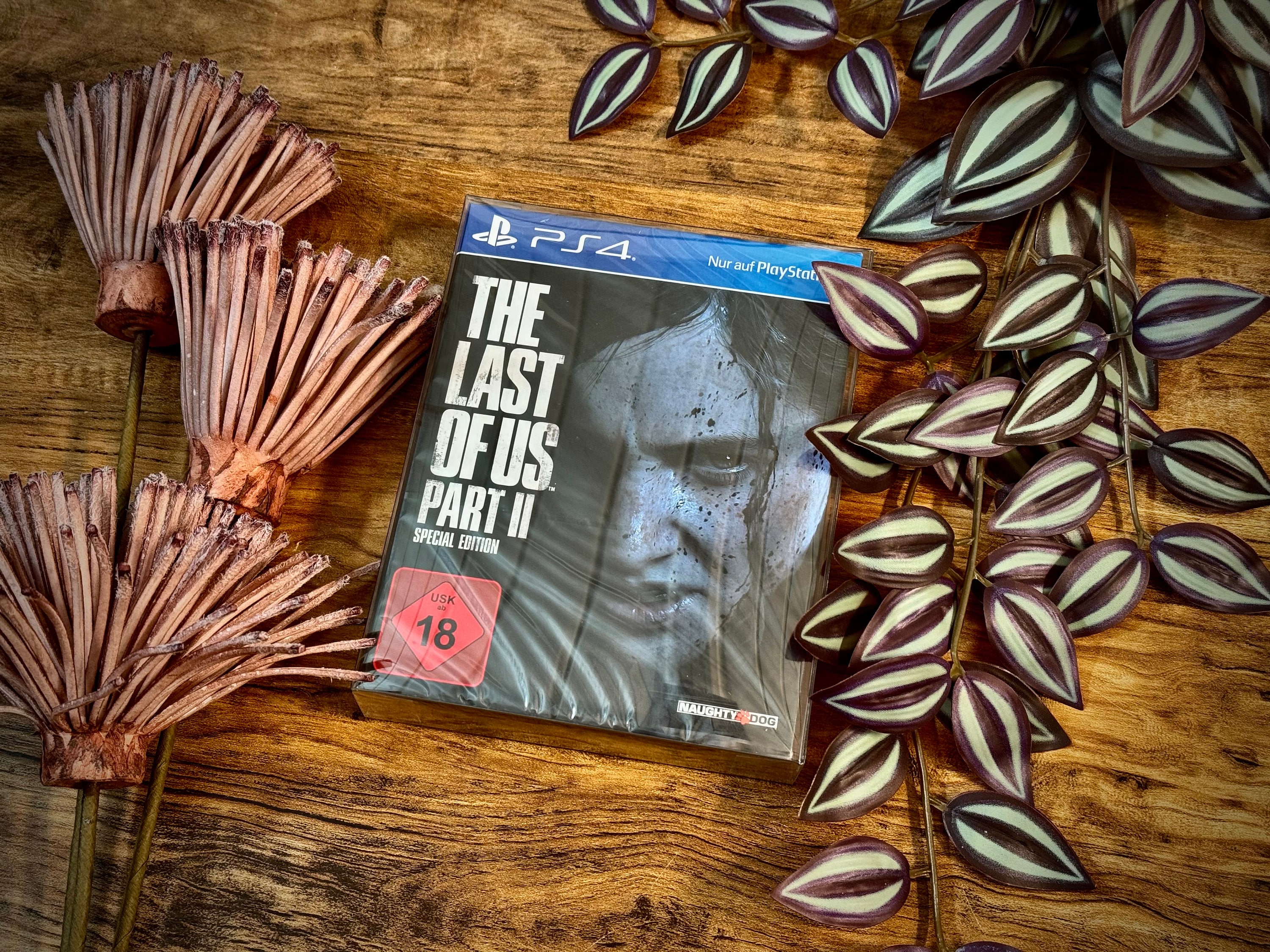 Protector for the Last of Us Part II Special Edition UK