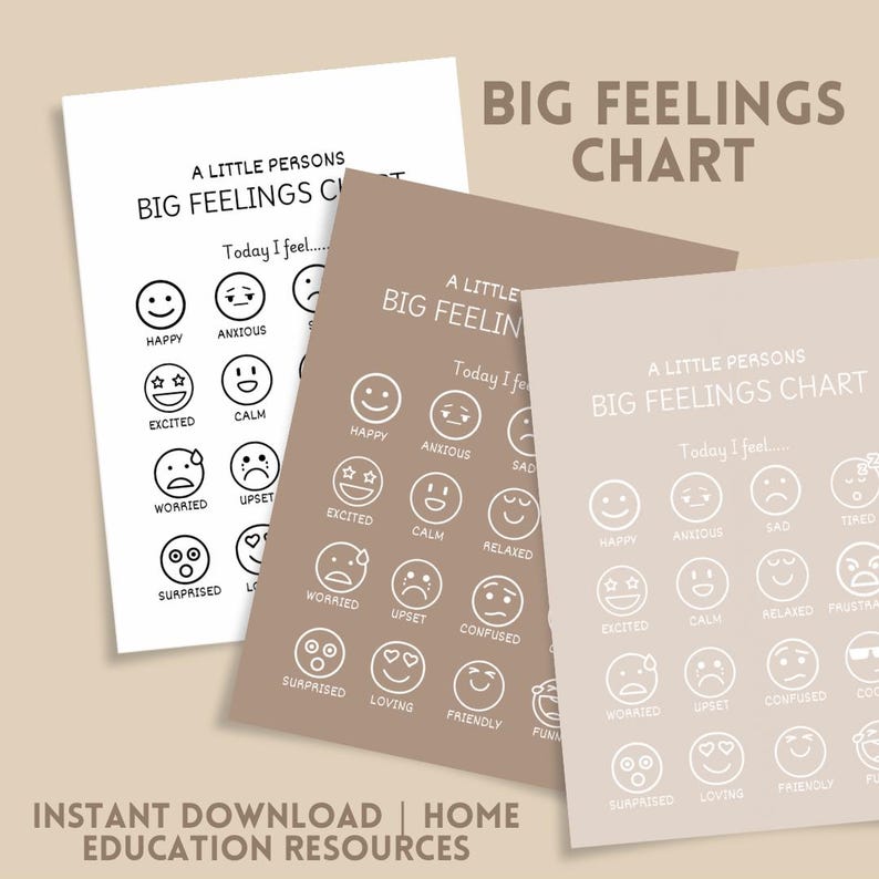 Big Feelings Chart, Feelings and Emotions, Home Education, Children ...