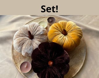 Samt Kürbisse Set von 3 Größen, Trending Herbst Dekor, moderne rustikale Hochzeit, Thanksgiving Herzstück, Herbst Tischlandschaft, Herbst Geschenke