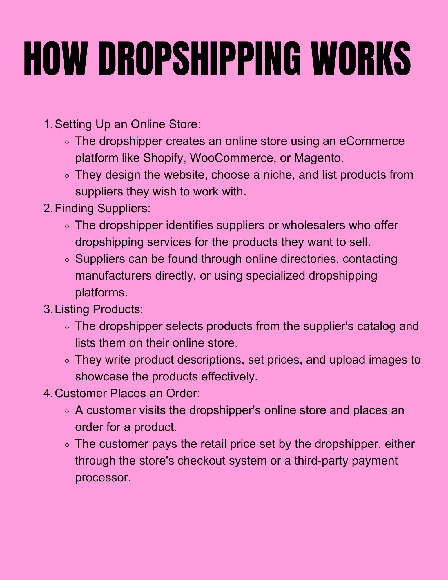 Drop Shipping Step-by-step Guide for Beginners(prl) - Etsy