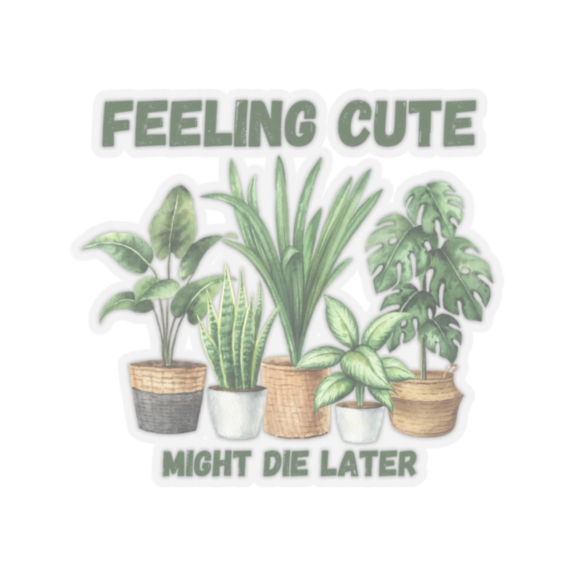 Sticker Freteling Funny Plant Lady Sticker Feeling Cute Might Die Later Cute Houseplant ...