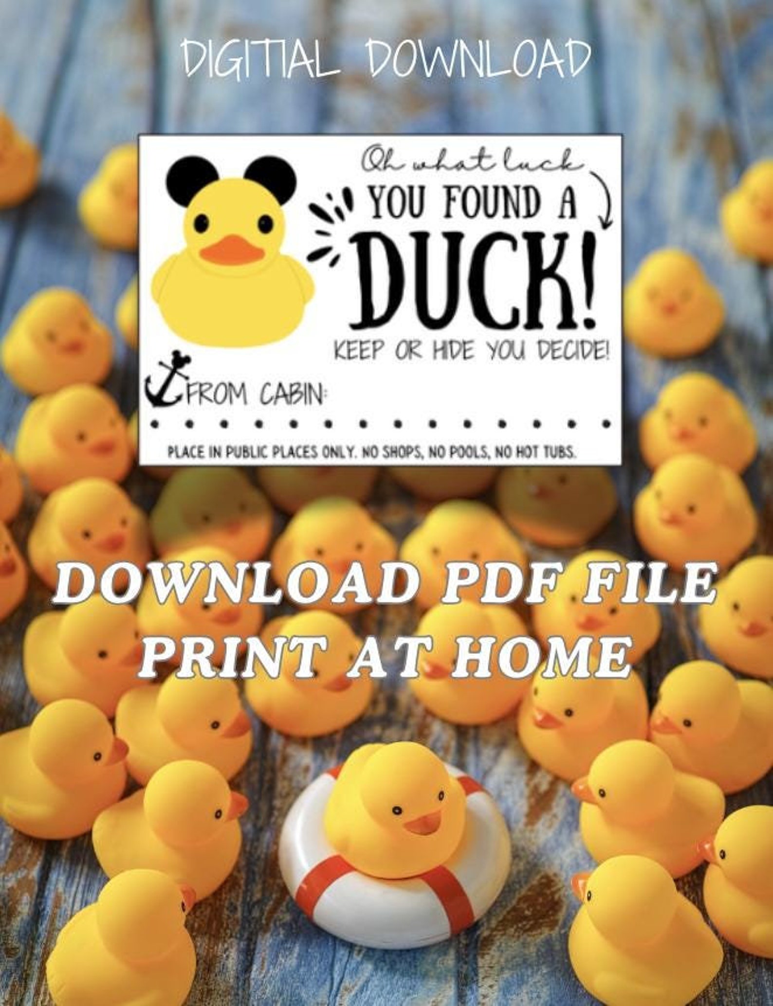 Oh What Luck You Found A Duck, Cruise Duck, Gift Tag, Pdf File, Digital
