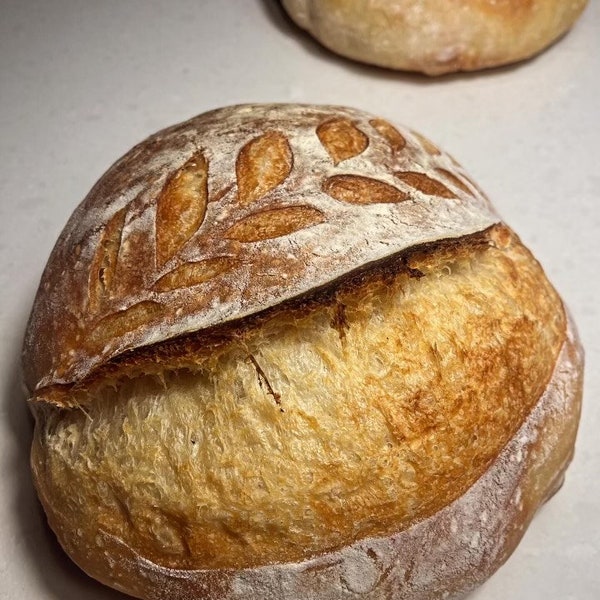Artisan Sourdough Loaf