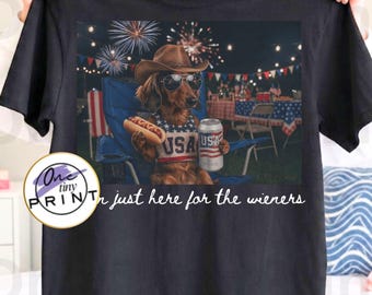 4th of July Patriotic Dachshund PNG, Cowboy Dog USA Flag Western png, Red White Blue Dog Independence Day png, I'm just here for the wieners