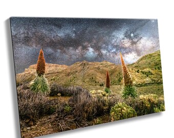 Milky Way Over Tajinaste Blooms, Tenerife;  wall décor, metallic, acrylic, or canvas print