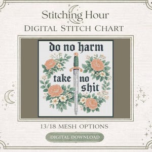 フェミニストの「Do No Harm（害を与えない）」ニードルポイントデジタルチャート
