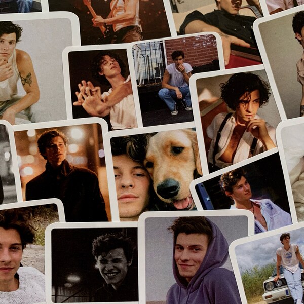 Shawn Mendes stickers