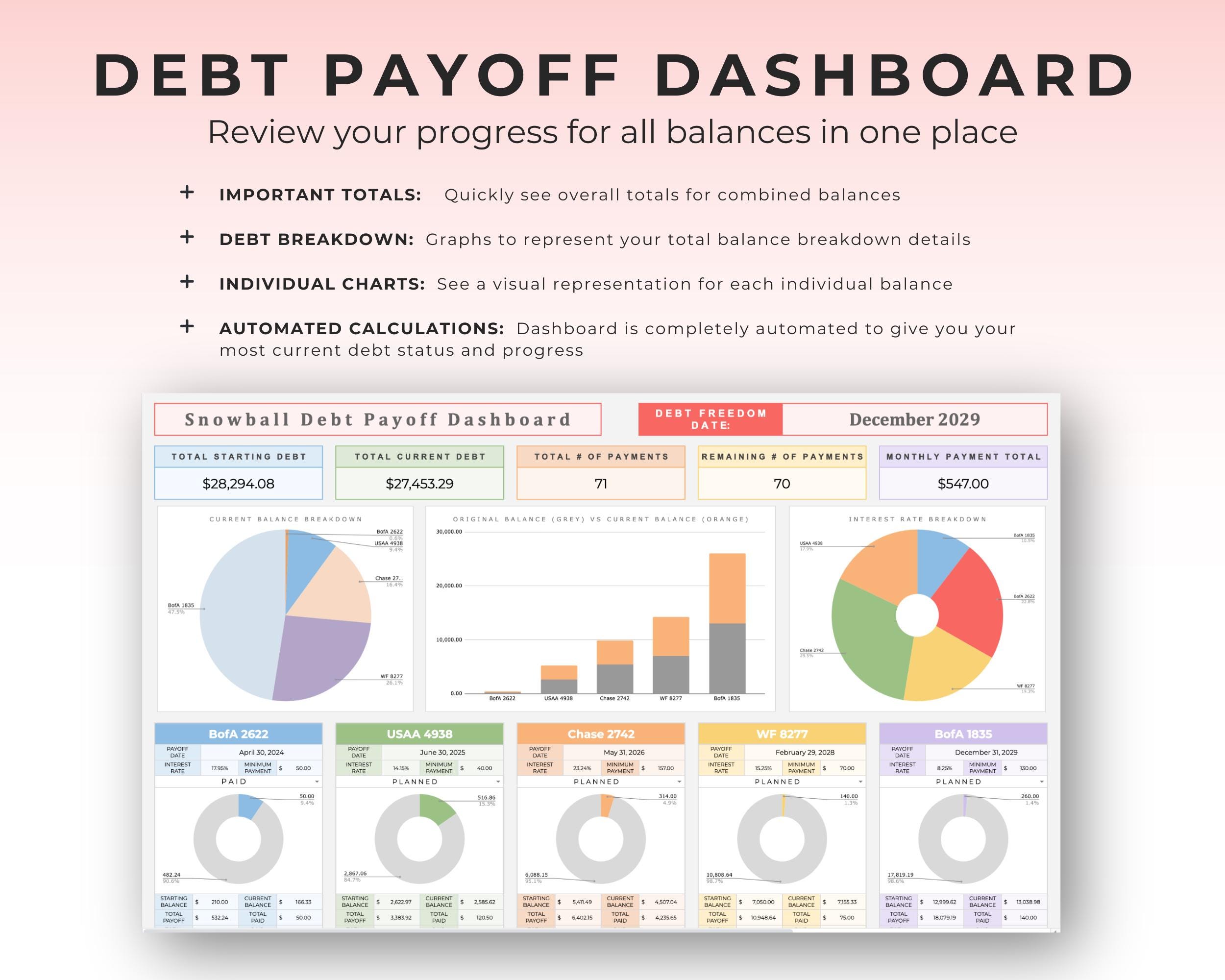 Debt payoff dashboard with combined balance summaries and several individual debt charts