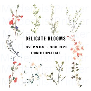 Kleurrijke lente delicate bloemen - 62 hoge kwaliteit JPG's - Digitale download - Ideaal voor het maken van kaarten, mixed media, digitale papierambachten