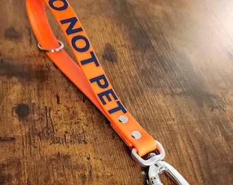 Custom Biothane Traffic Handle: Waterproof Dog Grab Tab with Personalized Text