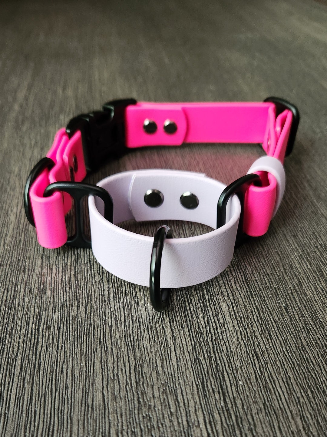 Two-tone Biothane Martingale Dog Collar: Waterproof Vegan Leather