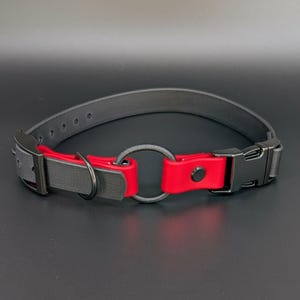 custom black and red biothane e-collar strap with bungee and black quick release buckle for off leash dog training