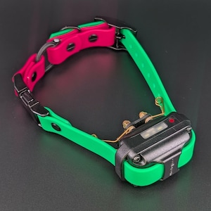 Custom Biothane E-Collar Strap with Bungee and Quick Release Buckle, Dog Training Gear