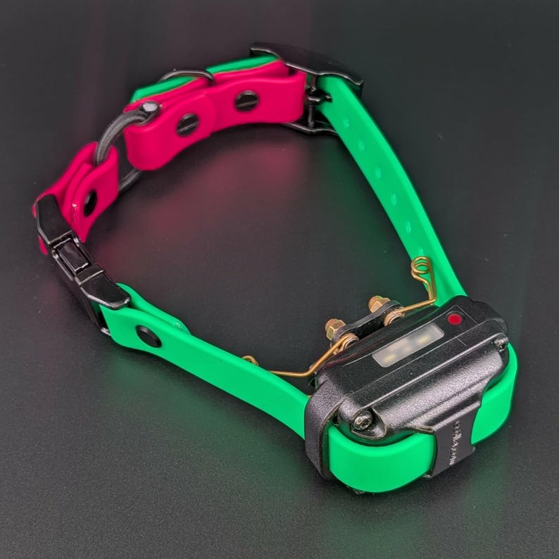 light green and pink biothane e-collar strap with bungee and black quick release buckle shown on mini educator et-300