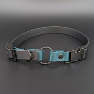 custom black and dark green biothane e-collar strap with bungee and black quick release buckle for off leash dog training