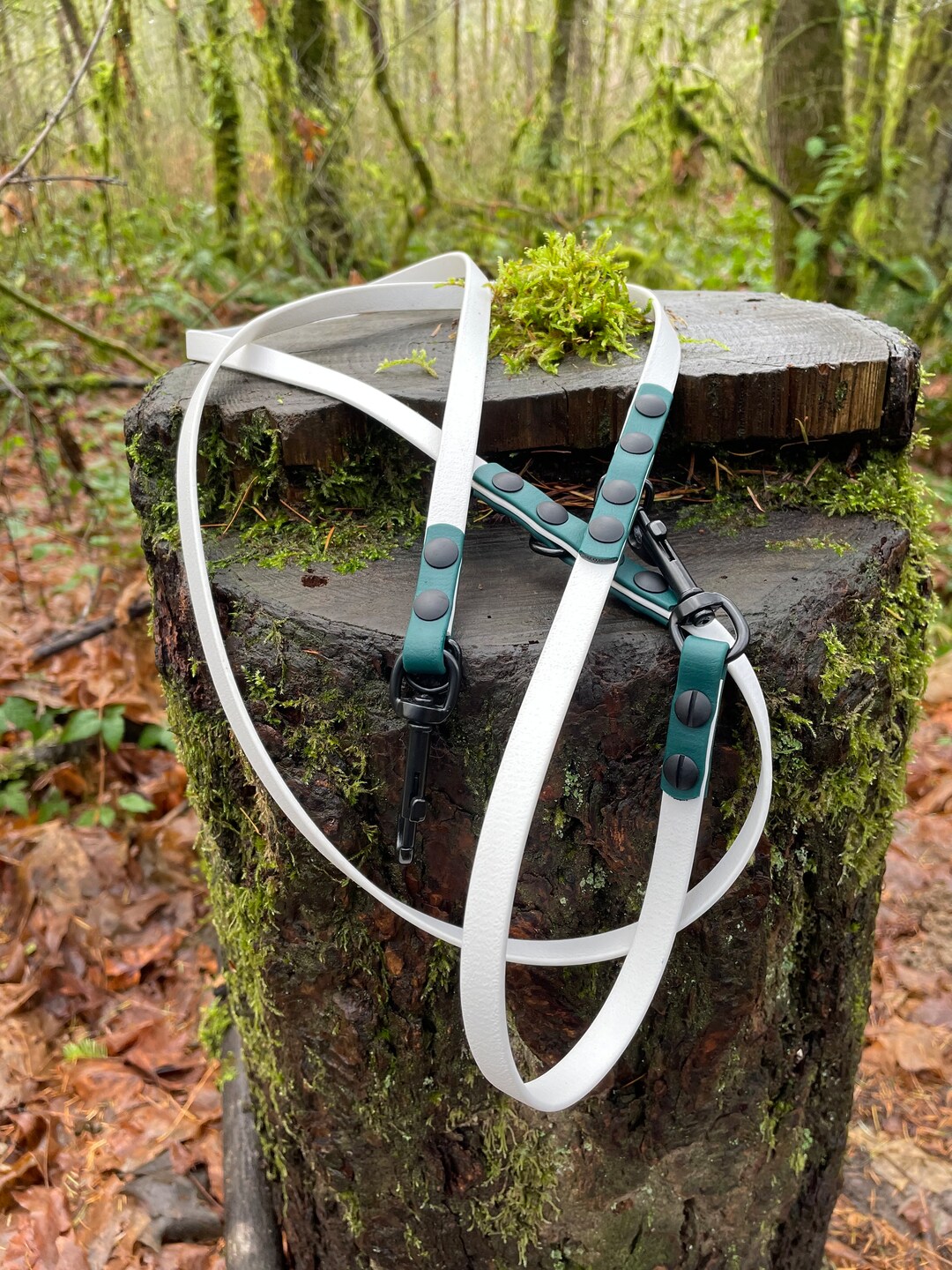 Biothane Hands Free Leash, Over the Shoulder Convertible Multifunction