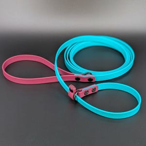 Custom Biothane Slip Lead