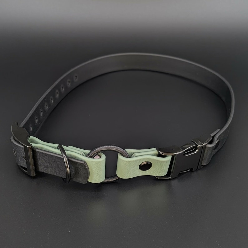custom black and sage green biothane e-collar strap with bungee and black quick release buckle for off leash dog training