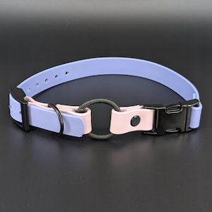 custom periwinkle blue and lavender biothane e-collar strap with bungee and black quick release buckle for off leash dog training