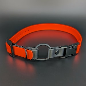custom orange and black biothane e-collar strap with bungee and black quick release buckle for off leash dog training