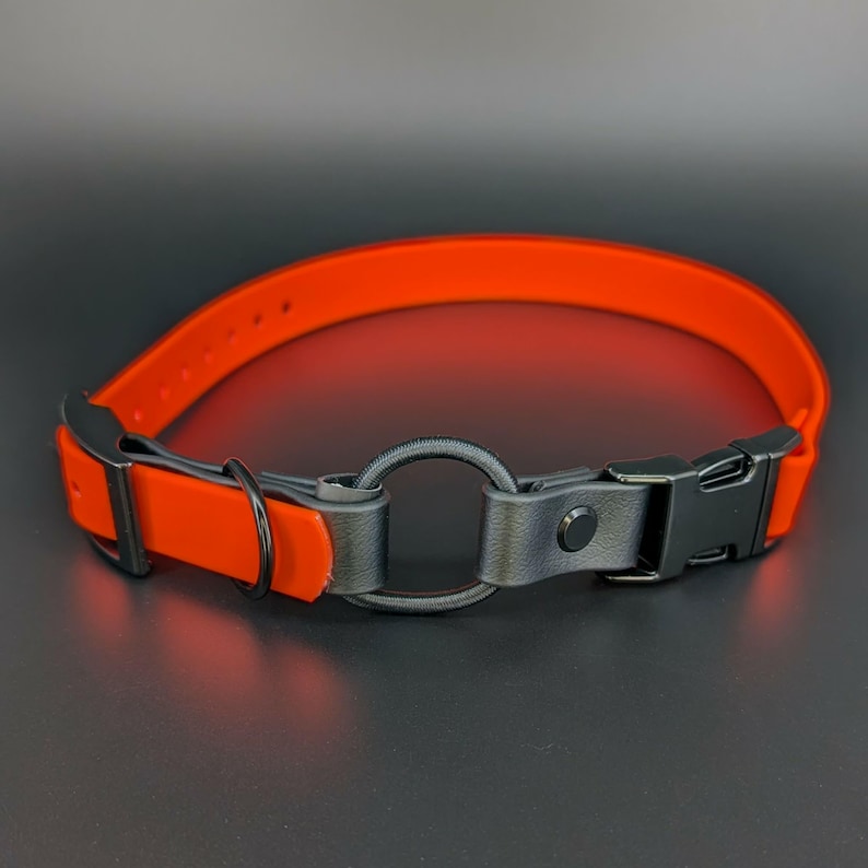 custom orange and black biothane e-collar strap with bungee and black quick release buckle for off leash dog training