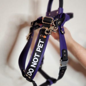 Biothane Y Front Harness, Custom Text, Counterbalance Handle, Detachable Pull Strap, Quick Release Cobra Buckle, Waterproof Mobility Harness