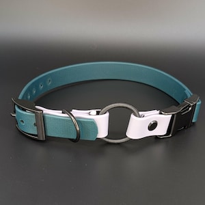custom dark green and lavender biothane e-collar strap with bungee and black quick release buckle for off leash dog training