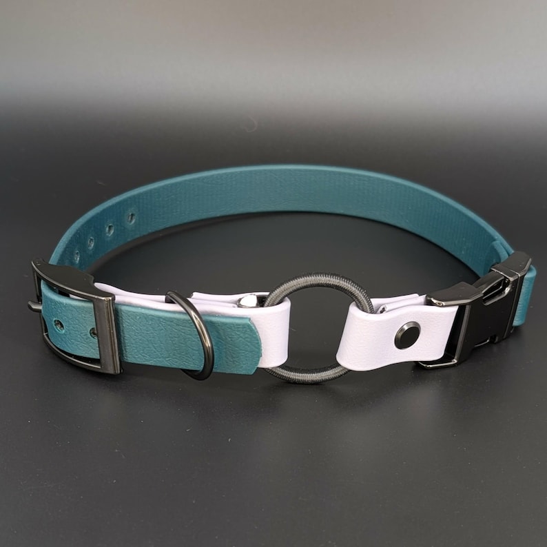 custom dark green and lavender biothane e-collar strap with bungee and black quick release buckle for off leash dog training