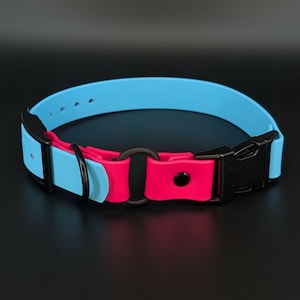custom light blue and pink biothane e-collar strap with bungee and black quick release buckle for off leash dog training