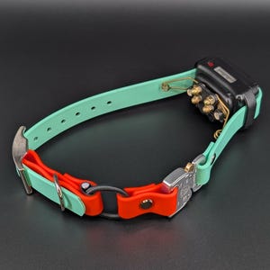 Custom Biothane E-Collar Strap with Bungee and Quick Release Cobra Buckle, Dog Training Gear