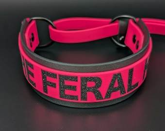 Custom Biothane French Martingale Dog Collar and Leash with Personalized Text