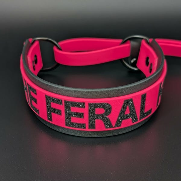 Custom Biothane French Martingale Dog Collar and Leash with Personalized Text
