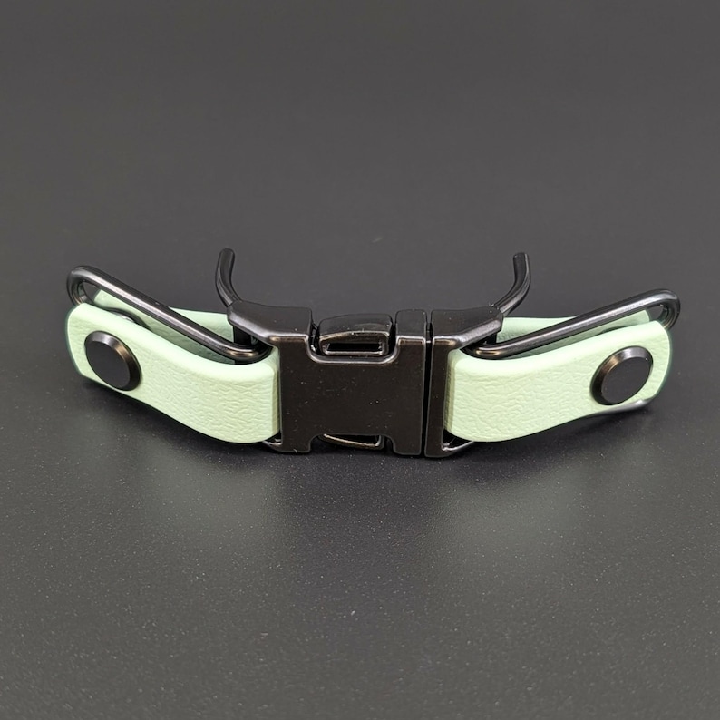 mint green biothane with black hardware quick release buckle attachment for prong collar