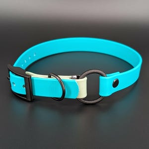May include: A turquoise dog collar with a black metal buckle and a black metal D-ring. The collar has a light green accent piece and a black elastic loop for leash attachment. The collar is made of a flexible material.