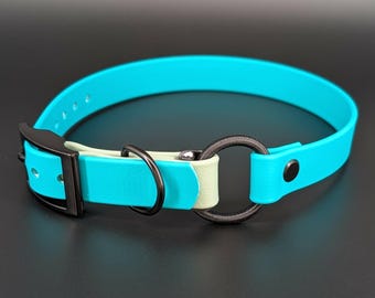 Custom Two-Tone Biothane E-Collar Strap with Bungee, Dog Training Gear