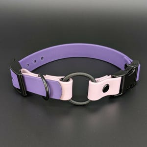custom dark purple and lavender biothane e-collar strap with bungee and black quick release buckle for off leash dog training
