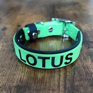 Customizable Waterproof Biothane Dog Collar: Personalized Vegan Leather, 1&quot; & 3/4&quot; Layered