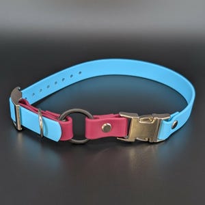 custom light blue and wine biothane e-collar strap with bungee and silver quick release buckle for off leash dog training