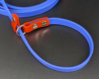 Two-Tone Biothane Slip Lead: Waterproof Vegan Dog Leash