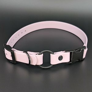 custom lavender biothane e-collar strap with bungee and black quick release buckle for off leash dog training